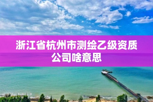 浙江省杭州市測繪乙級資質公司啥意思