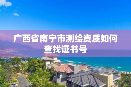 廣西省南寧市測繪資質如何查找證書號