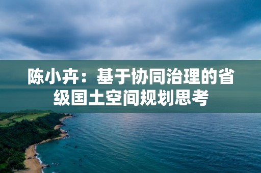 陳小卉：基于協(xié)同治理的省級國土空間規(guī)劃思考