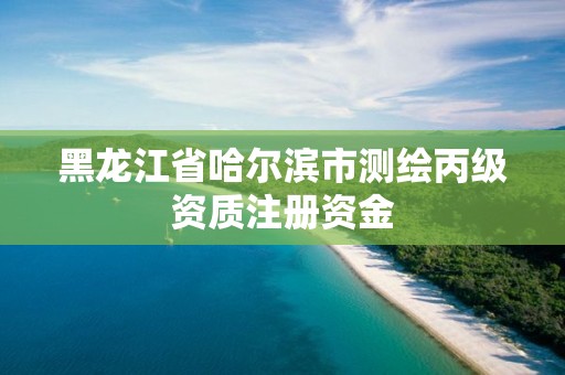 黑龍江省哈爾濱市測繪丙級資質注冊資金