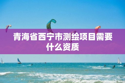 青海省西寧市測繪項目需要什么資質