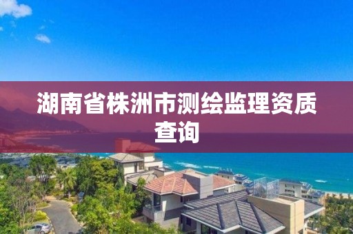 湖南省株洲市測繪監理資質查詢