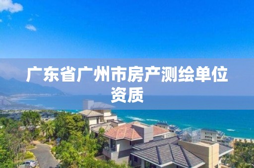 廣東省廣州市房產(chǎn)測繪單位資質