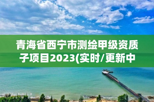 青海省西寧市測繪甲級資質子項目2023(實時/更新中)