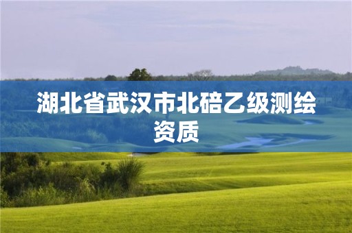 湖北省武漢市北碚乙級測繪資質