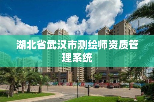 湖北省武漢市測繪師資質管理系統