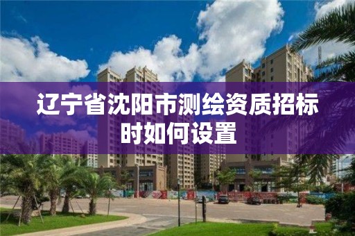 遼寧省沈陽市測繪資質招標時如何設置