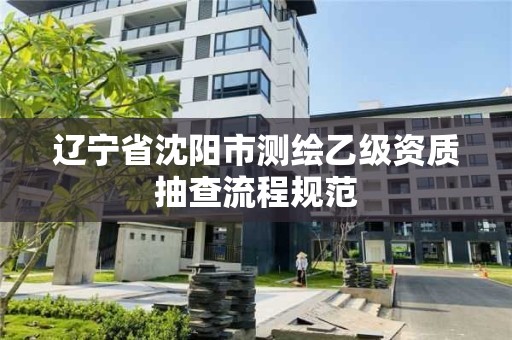 遼寧省沈陽市測繪乙級資質抽查流程規范