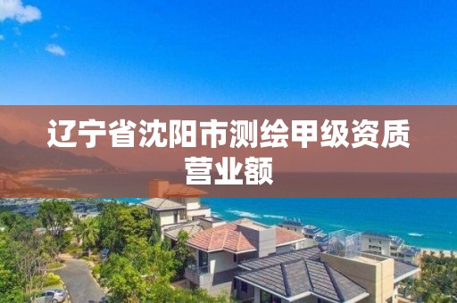 遼寧省沈陽市測繪甲級資質營業額