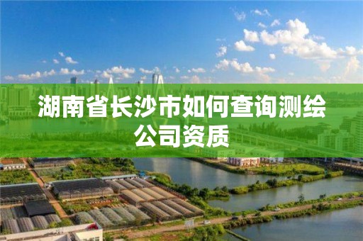 湖南省長沙市如何查詢測繪公司資質