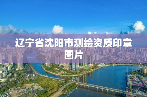 遼寧省沈陽市測繪資質印章圖片