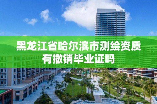 黑龍江省哈爾濱市測繪資質有撤銷畢業證嗎