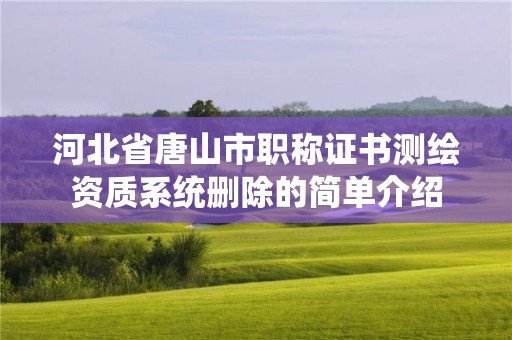 河北省唐山市職稱證書測(cè)繪資質(zhì)系統(tǒng)刪除的簡(jiǎn)單介紹