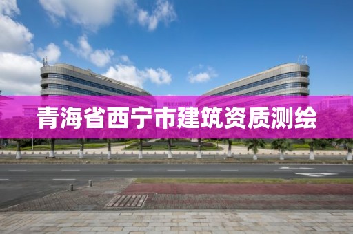 青海省西寧市建筑資質測繪