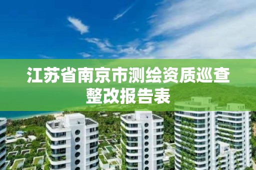 江蘇省南京市測繪資質巡查整改報告表