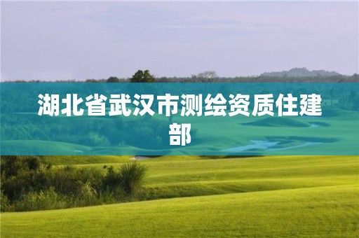 湖北省武漢市測(cè)繪資質(zhì)住建部