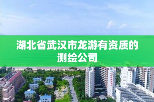 湖北省武漢市龍游有資質的測繪公司