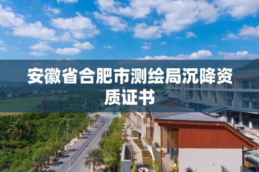 安徽省合肥市測繪局沉降資質證書