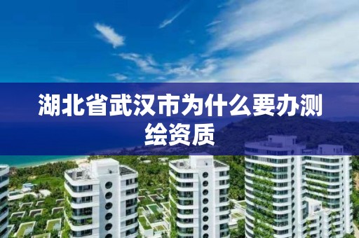 湖北省武漢市為什么要辦測繪資質