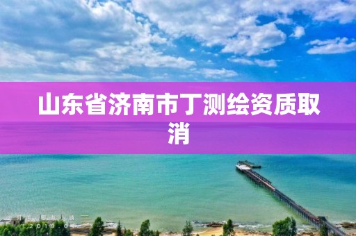 山東省濟南市丁測繪資質取消