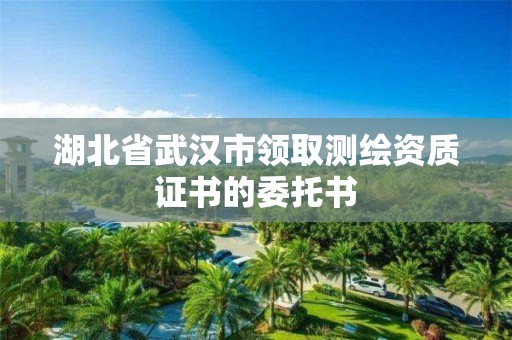 湖北省武漢市領取測繪資質證書的委托書