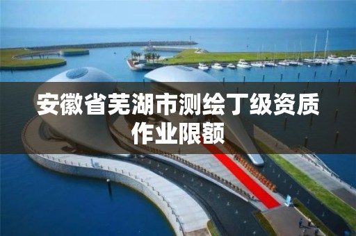 安徽省蕪湖市測繪丁級資質作業限額