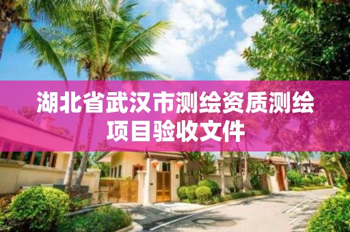 湖北省武漢市測繪資質測繪項目驗收文件