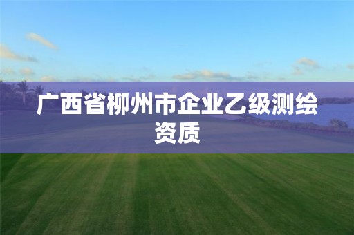 廣西省柳州市企業乙級測繪資質