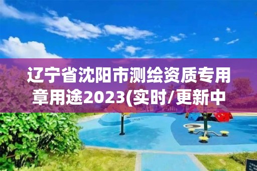 遼寧省沈陽市測繪資質專用章用途2023(實時/更新中)