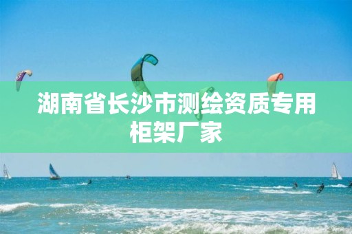 湖南省長沙市測繪資質(zhì)專用柜架廠家