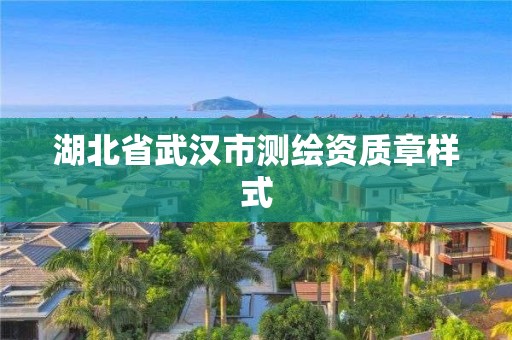 湖北省武漢市測繪資質章樣式