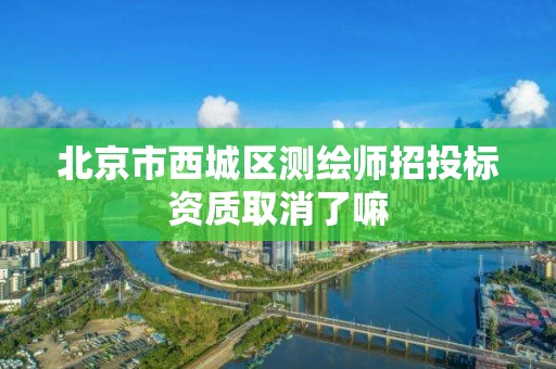 北京市西城區測繪師招投標資質取消了嘛