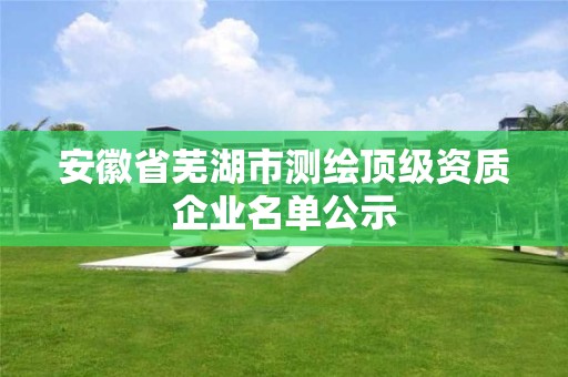 安徽省蕪湖市測繪頂級資質企業名單公示