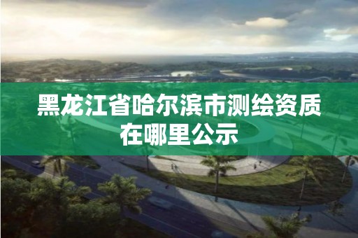 黑龍江省哈爾濱市測繪資質在哪里公示