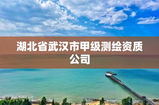 湖北省武漢市甲級測繪資質(zhì)公司