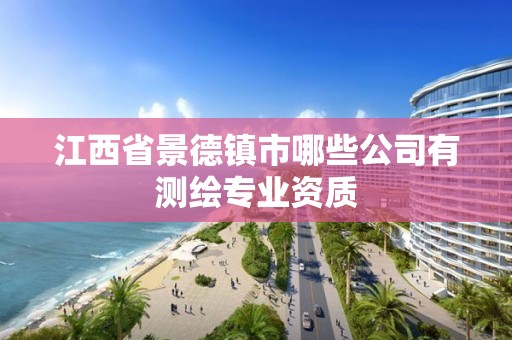 江西省景德鎮市哪些公司有測繪專業資質