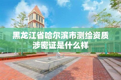 黑龍江省哈爾濱市測繪資質涉密證是什么樣