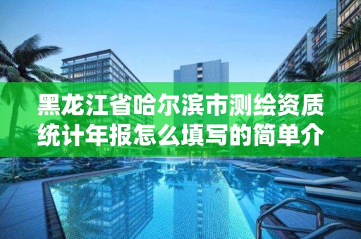 黑龍江省哈爾濱市測繪資質統計年報怎么填寫的簡單介紹