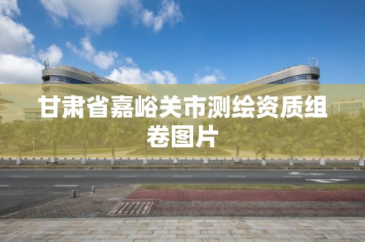 甘肅省嘉峪關市測繪資質組卷圖片