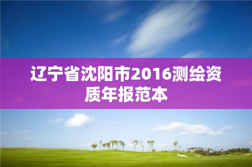 遼寧省沈陽市2016測繪資質年報范本