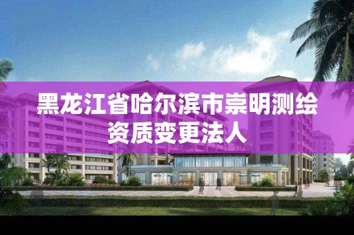 黑龍江省哈爾濱市崇明測繪資質變更法人