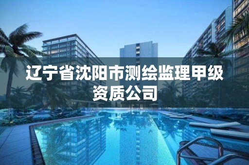 遼寧省沈陽市測繪監理甲級資質公司