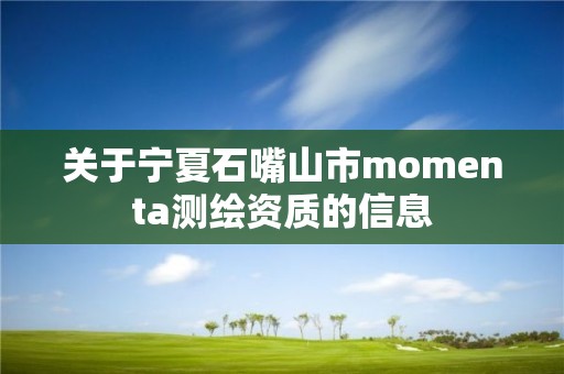 關于寧夏石嘴山市momenta測繪資質的信息