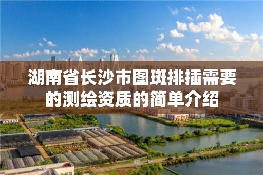 湖南省長沙市圖斑排插需要的測繪資質的簡單介紹