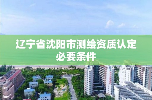 遼寧省沈陽市測繪資質認定必要條件