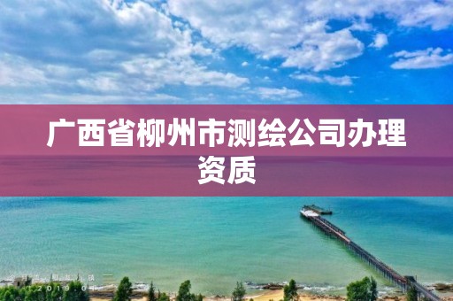 廣西省柳州市測繪公司辦理資質(zhì)