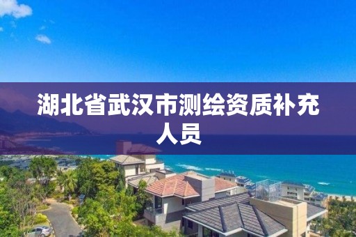 湖北省武漢市測繪資質補充人員