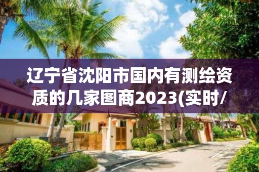 遼寧省沈陽市國內有測繪資質的幾家圖商2023(實時/更新中)