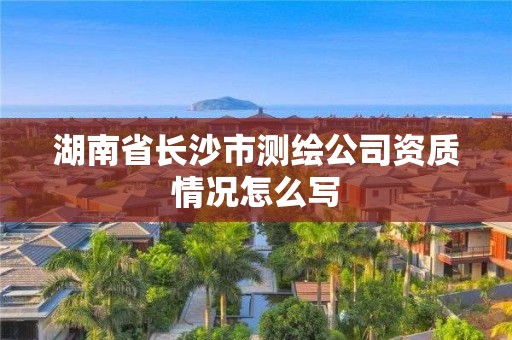 湖南省長沙市測繪公司資質情況怎么寫