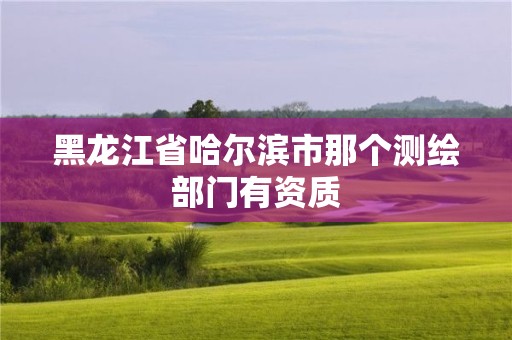 黑龍江省哈爾濱市那個測繪部門有資質